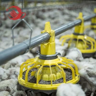 Livestock Farming Poultry Equipment Supplier