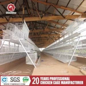 Layer Chicken Cage Poultry Farming Machinery Machines Best Selling in Africa