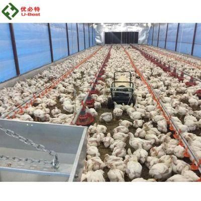 Automatic Chicken Farm Project Poultry Farming Equipment for Sale