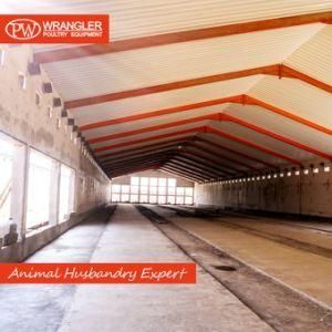 Complete Poultry Automatic Raising Equipment for Broiler / Breeder