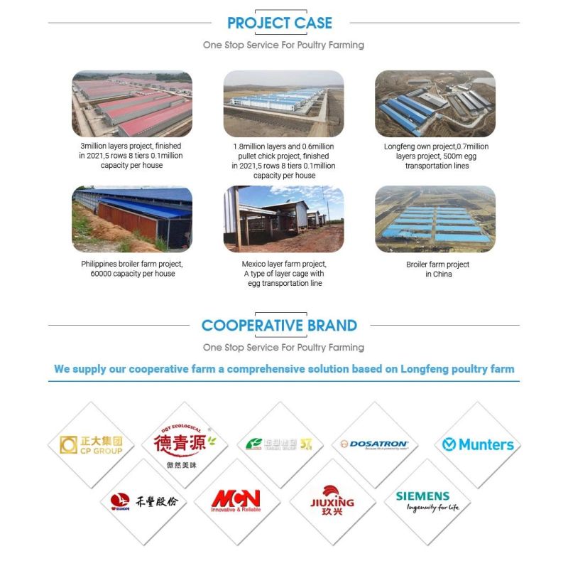 Longfeng China Equipment Feeding Livestock Machinery Layer Battery Poultry Farm Chicken Cage