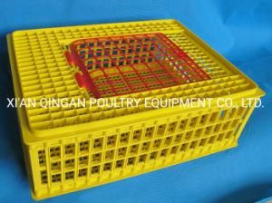 Adult Chicken Plastic Transport Box