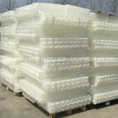Pure PP Material Plastic Slat Floor for Poultry