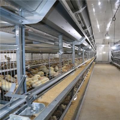 New-Designed Technical Low Cost Steel Chicken Cage Shed for Broiler