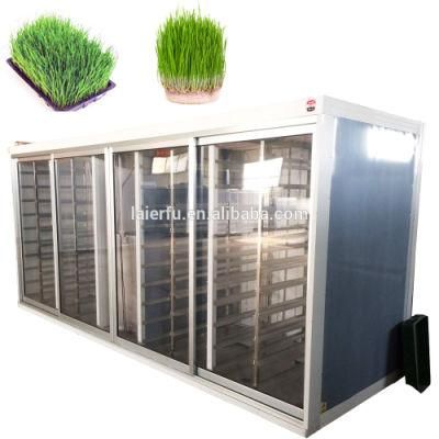 Animal Farm Green Hydroponic Bean Seedling Growing Container Machine Feed Solutions for Horses