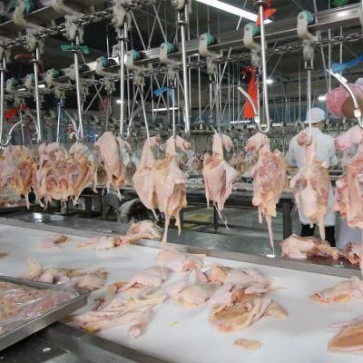 500-2000bph High Quality Automatic Chicken 3000bph Slaughtering Line