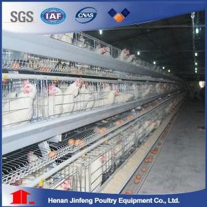 Chinese Wholesale Chicken Cage Bird Cage for Sale in Pakistan Poultry Battery Cage Animal Cage