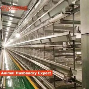 Chicken Cage for Poultry Farm/ Broiler Cage for Poultry Farm Equipment