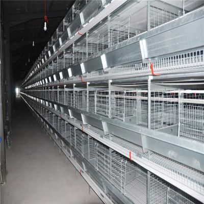 High Quality Full Automatic Easily Management Low Cost Broiler House