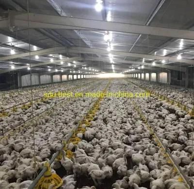 CCS3 Tunnel Ventilated Poultry Building for Broiler Breeder Layer Chicken in Philippines