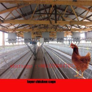 Automatic Poultry Farming Equipment/Chicken Layer Cage
