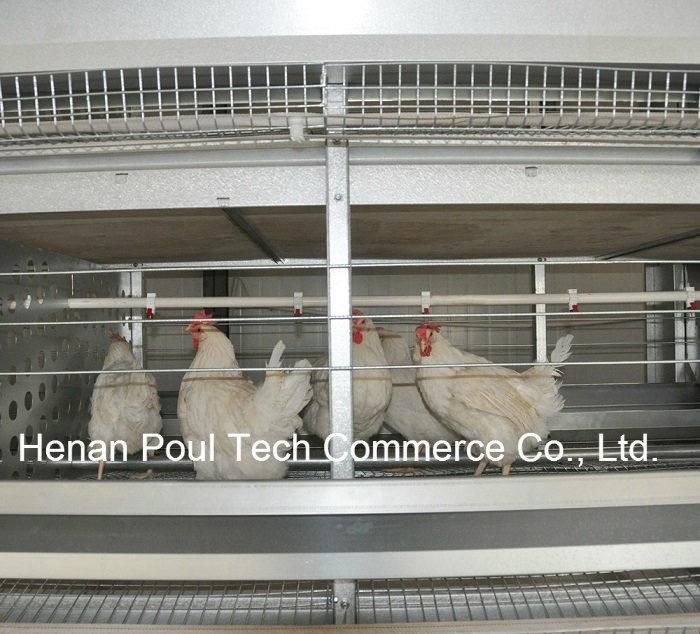 2022 Hot Product H Frame Battery Layer Chicken Cage