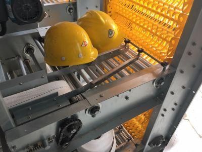Chicken Egg Collection System for Layer