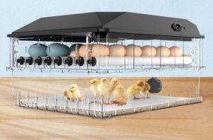 Price Cheap Eggs Automatic Mini Industrial Chicken Incubators for Sale