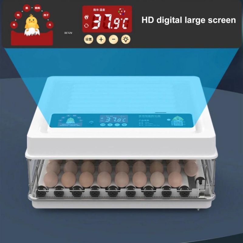 Hottest Selling CE Approved Automatic Mini Chicken Egg Incubator Solar Egg Hatching Machine