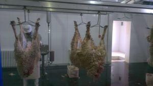 Halal Complete Lamb Slaughter Line Skin Equipment for Abattoir