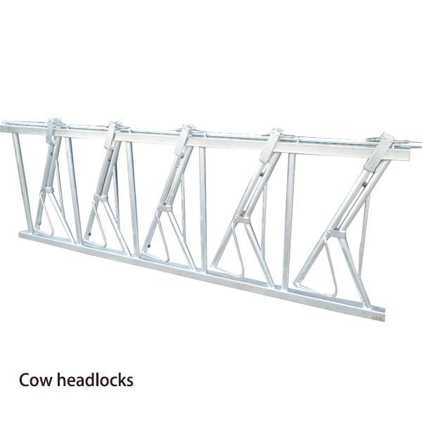 Galvanized Cow Cattle Head Lock
