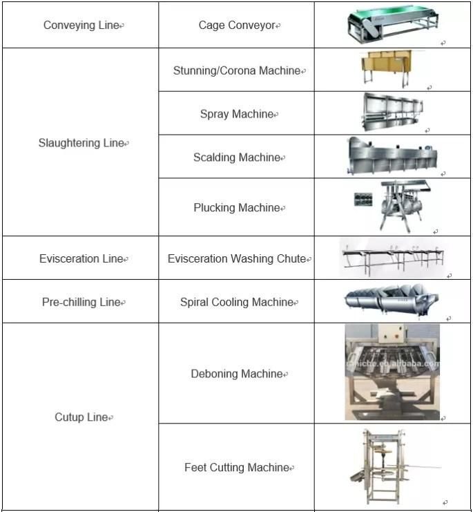 Chicken Slaughter Line/Chicken Slaughter/Chicken Slaughtering Machine