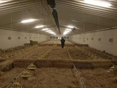 Prefeabricated Steel Poultry House