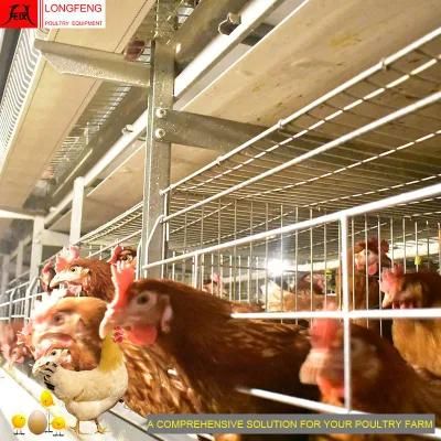 on-Site Installation Instruction Automatic Chicken Farming Poultry Feeding Equipment Wire Mesh Cage