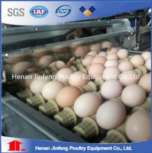 Wire Material Chicken Egg Poultry Farm Equipment