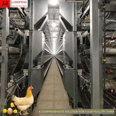 Professional Fans and Cooling Pad Automatic Pullet Layer Chicken Cage of High Quality