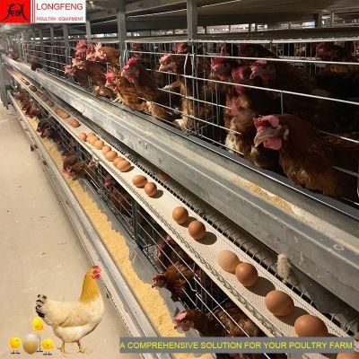 Automatic Farming Equipment 1 Year Warranty Egg Chicken Cage Poultry Farms