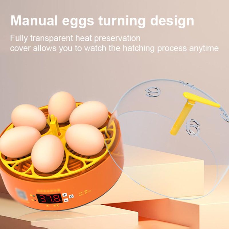 Automatic Eggs Turning Temperature Control 6 Eggs Children Experimental Eggs Incubator Chicken Incubator Eggs Hatching Machine