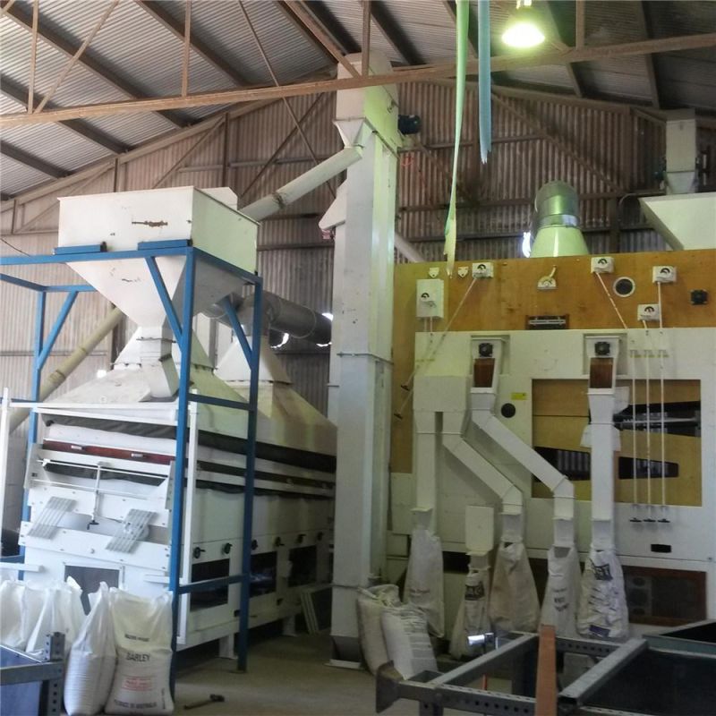 Wheat Cleaning Plant