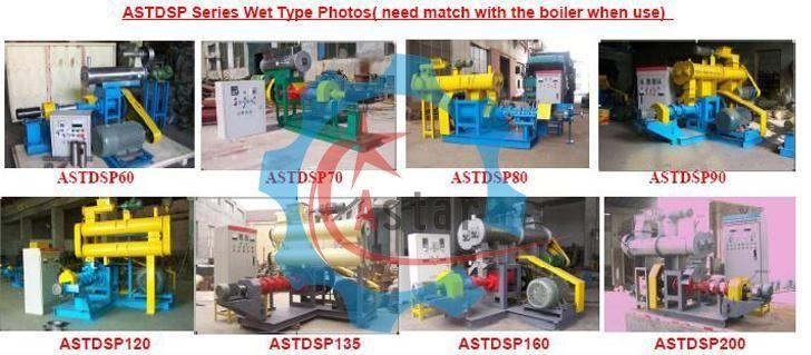 Ce Approved Pet Dog Cat Floating Fish Feed Production Machine Manufacture