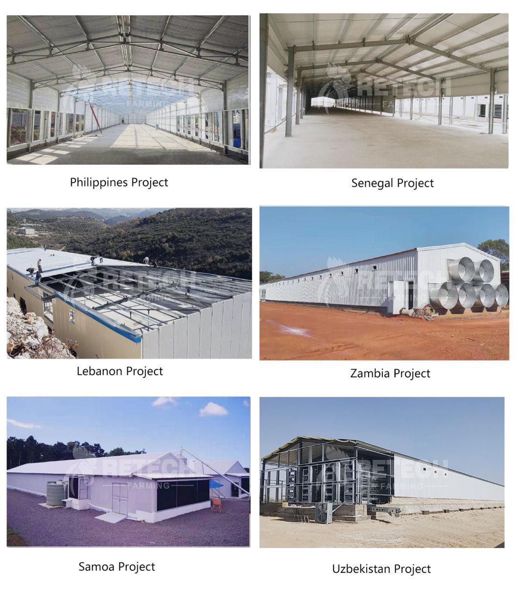 High quality broiler chicken farm prefab poultry hosue steel structure