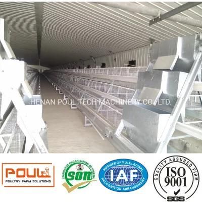 a Type Layer Cage Raising Equipment for 85000 Birds Layer Project