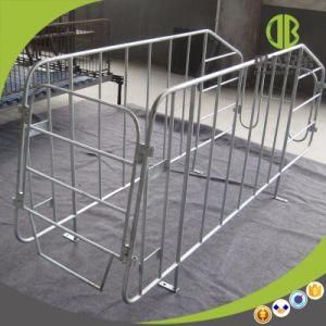High Quality Sow Gestation Stall for Pigs