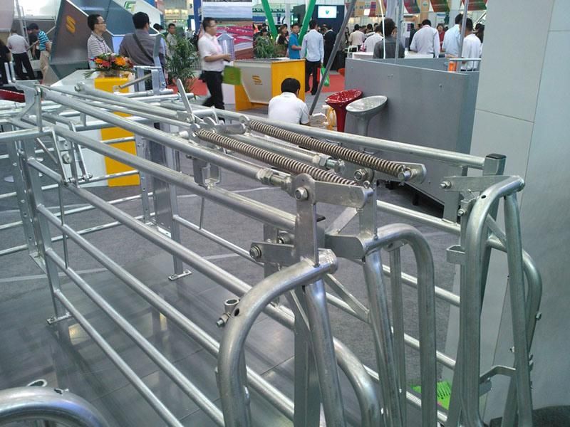 Hot DIP Galvanized Pig Gestation Stall