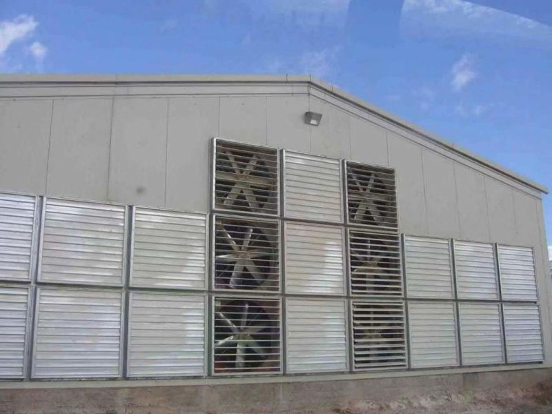 Chicken Farm House Pan Feeder Line Price Feed Auger Breeding Feeding Machine System Poultry Farming/Automatic Feeding Drinking System Poultry