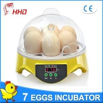 Christmas Gift Automatic Mini Quail Egg Incubator for 7 Eggs