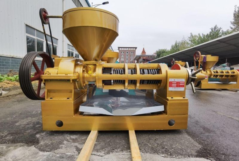 10tpd Screw Sunflower Oil Expeller Manufacturer Yzyx140gx Groundnut Oil Mill Machine