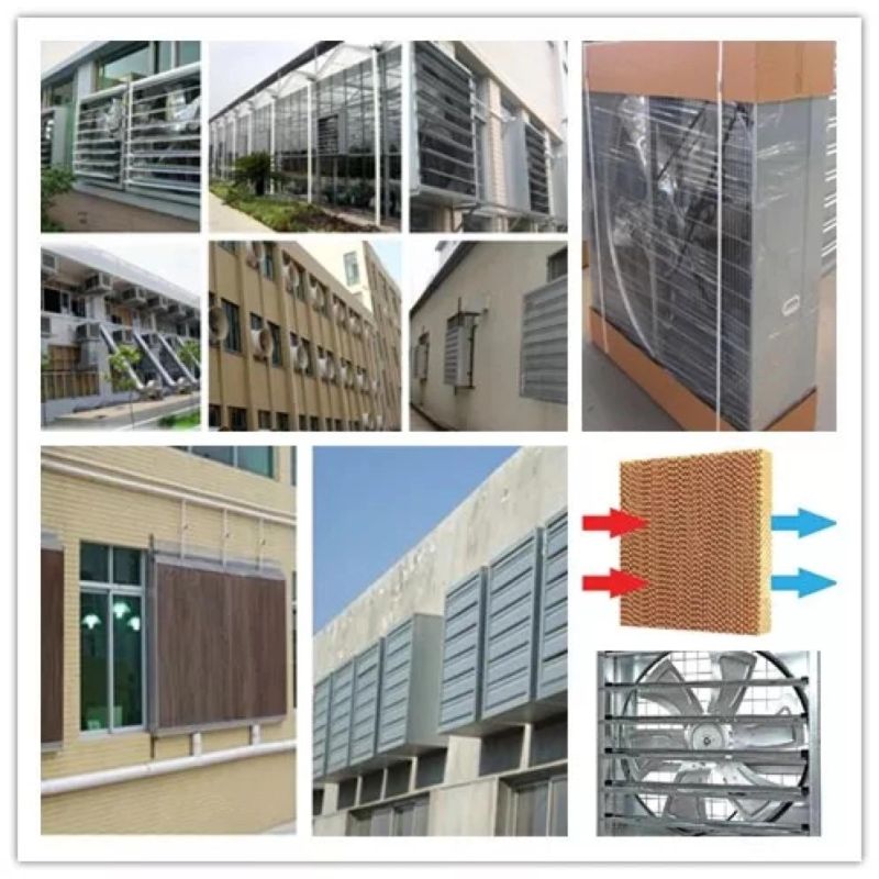 4 Tiers Manual Chicken Battery Layer Cage for Poultry Farms