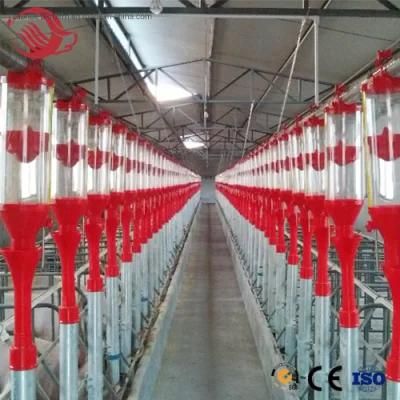 Pig Farm Equipment Automatic Feeding System