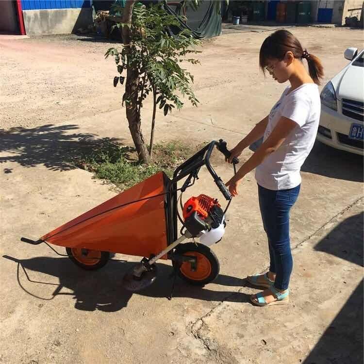 Small Portable 4 Stroke Sugarcane Harvester Grass Cutter