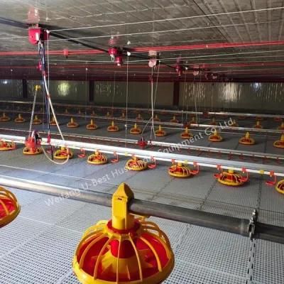 Automatic Poultry Farming Equipment Flooring System for Broiler Chicken Farm