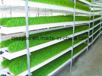 Barley Alfalfa Wheat Animal Fodder Feed Grass Sprouting Growing Machine