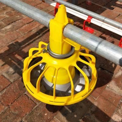 Poultry Chicken Farm Equipment Feeding Line Floor Raising System