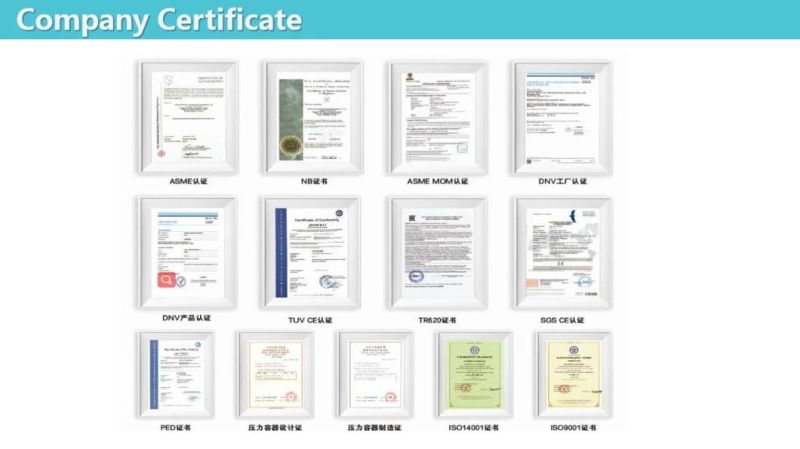 CE/Is9001 Certificate High Thermal Efficiency Rotary Disic Dryer