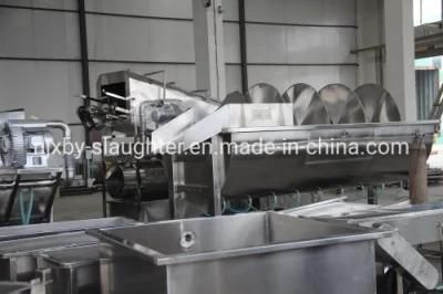 Slaughterhouse Using Cooling Machine Precooler for Slaughtering Line