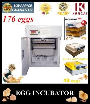 Small Chicken Egg Incubator
