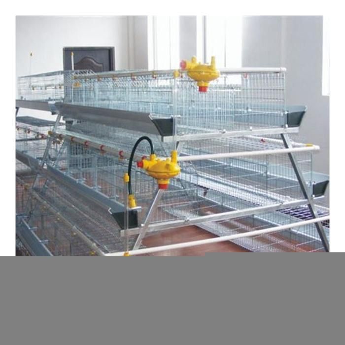 Best Price Automatic Poultry Farming Equipment Battery Chicken Layer Cage for Sale