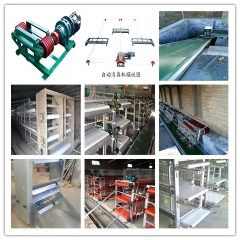 Poultry Farming/Farm Equipment/Machine Broiler Layer High Rate Baby Chicken Cage