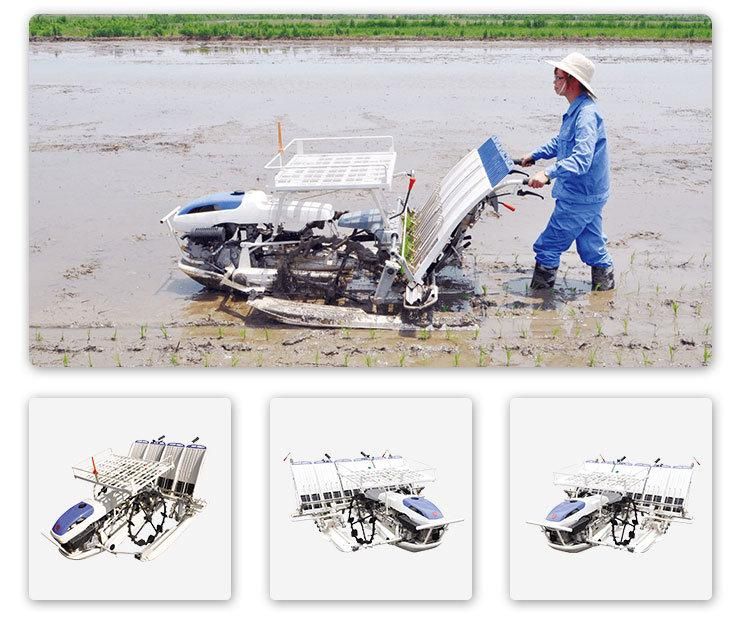 4raw 6raw Manual Hand Walkbehind Rice Transplanter