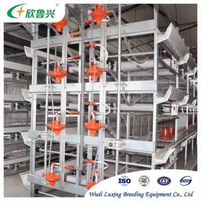 Feeding Poultry Farm Nipple Drinker Battery Cage with Automatic Drinkers Brooder Sale for Animal